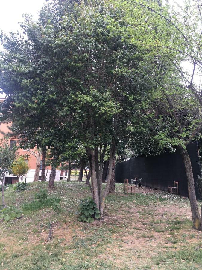 博洛尼亚Tra S.Orsola E Fiera公寓 外观 照片